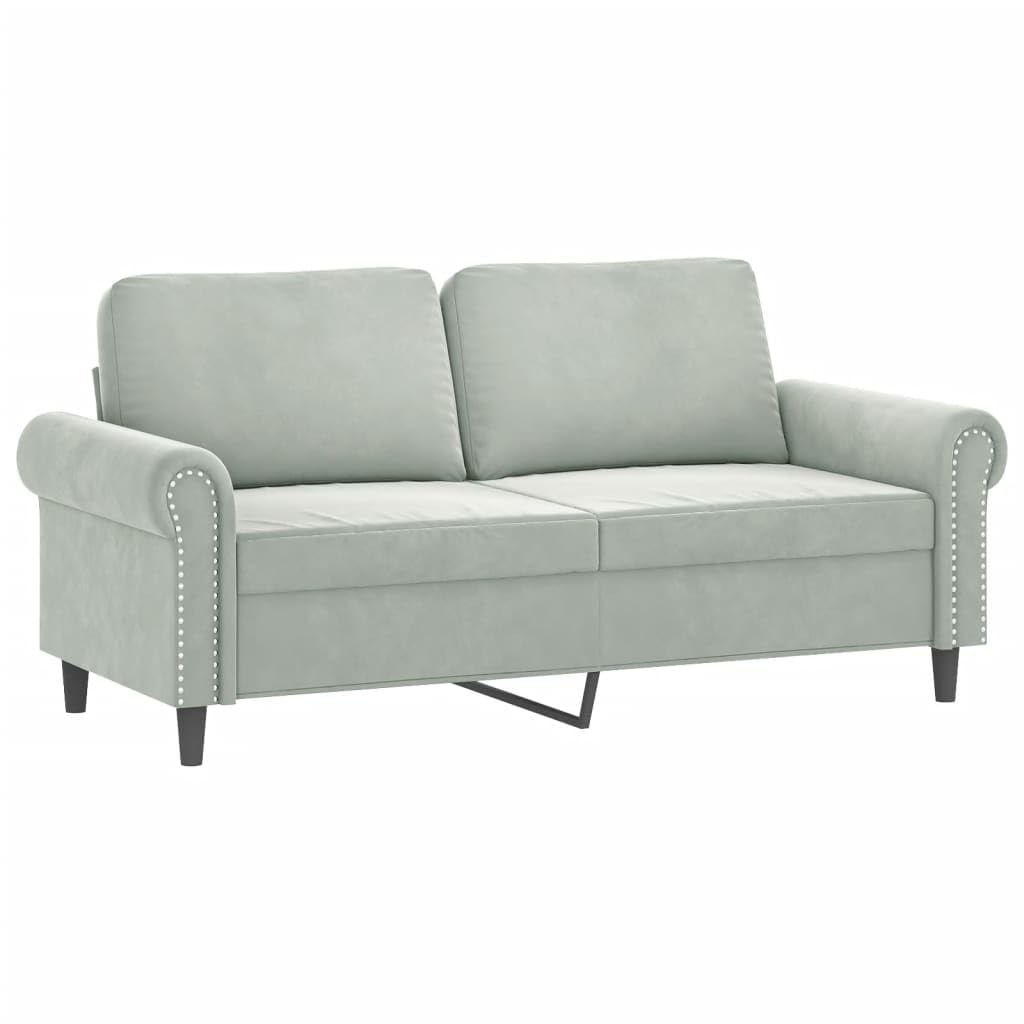 Light Gray Velvet 2 Piece Sofa Set with Throw Pillows J745427