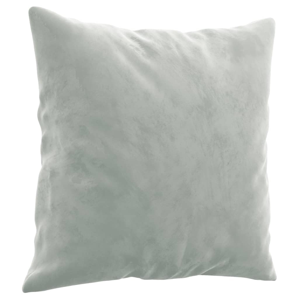Light Gray Velvet 2 Piece Sofa Set with Throw Pillows J745427