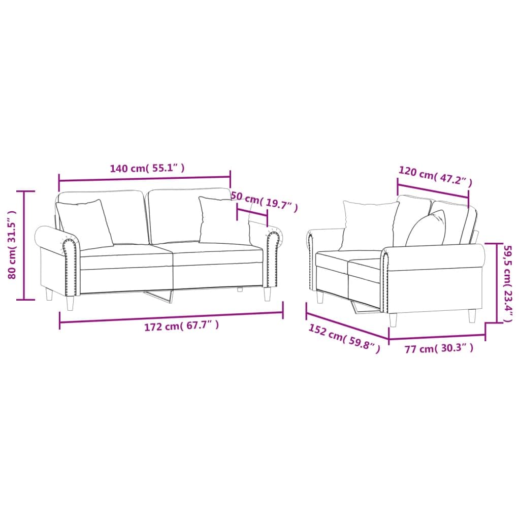 Light Gray Velvet 2 Piece Sofa Set with Throw Pillows J745427