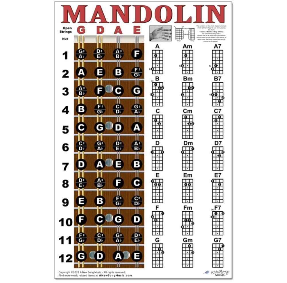 Mandolin Chord Chart Poster Laminated 11x17 N5080