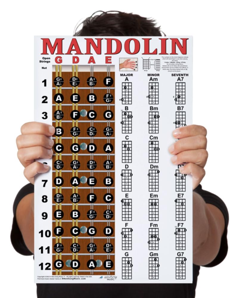 Mandolin Chord Chart Poster Laminated 11x17 N5080