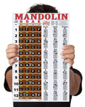 Mandolin Chord Chart Poster Laminated 11x17 N5080