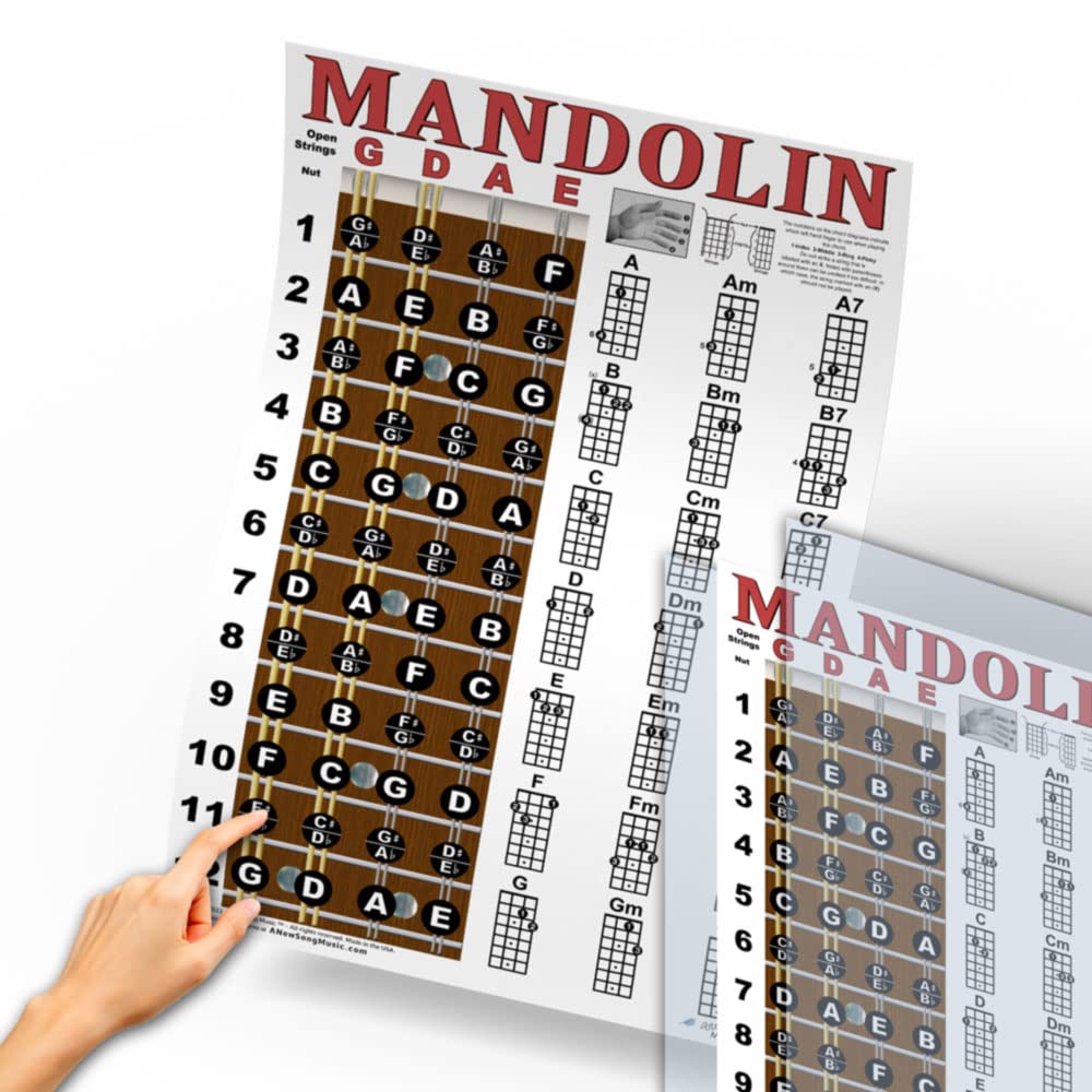 Mandolin Chord Chart Poster Laminated 11x17 N5080