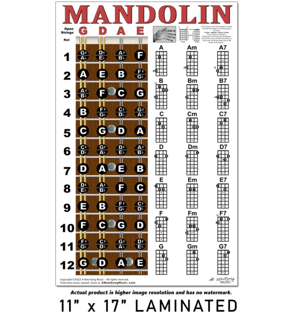 Mandolin Chord Chart Poster Laminated 11x17 N5080