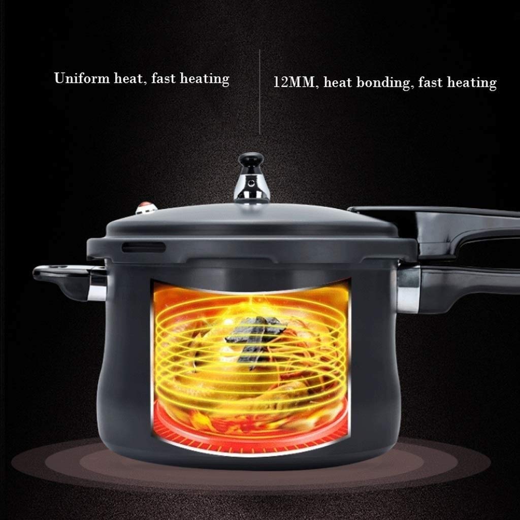 Black 3L Stainless Steel Pressure Cooker G850
