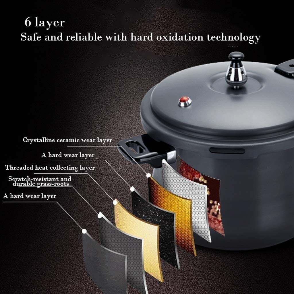 Black 3L Stainless Steel Pressure Cooker G850