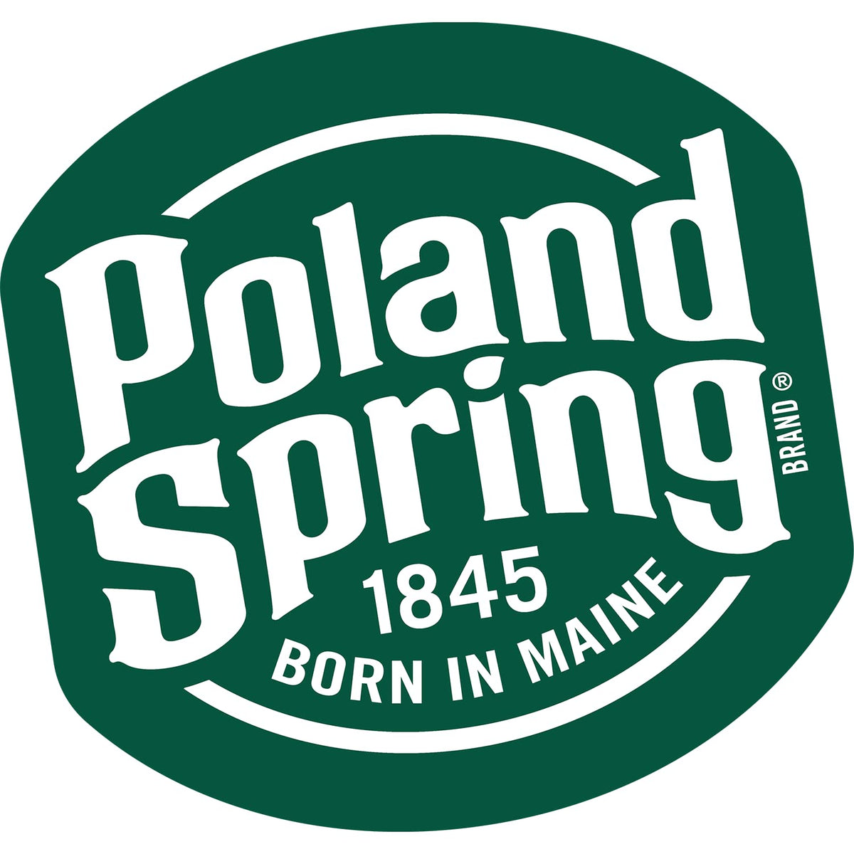 Spring Bottled Water 16.9 Fl Oz 96 Pack K54388