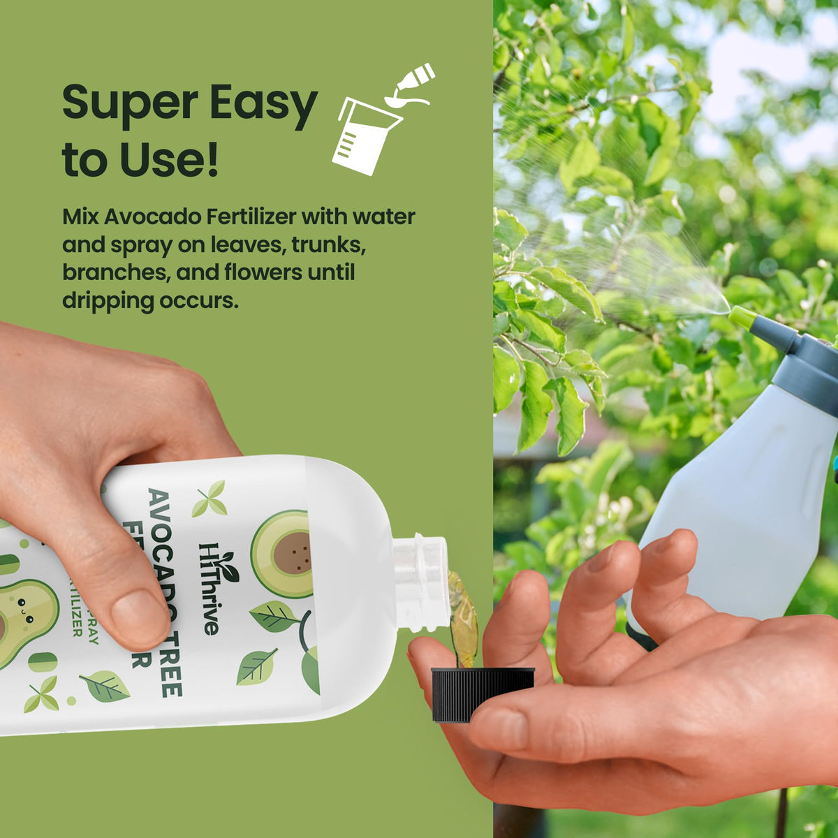 Avocado Fruit Tree Fertilizer 16oz O782694
