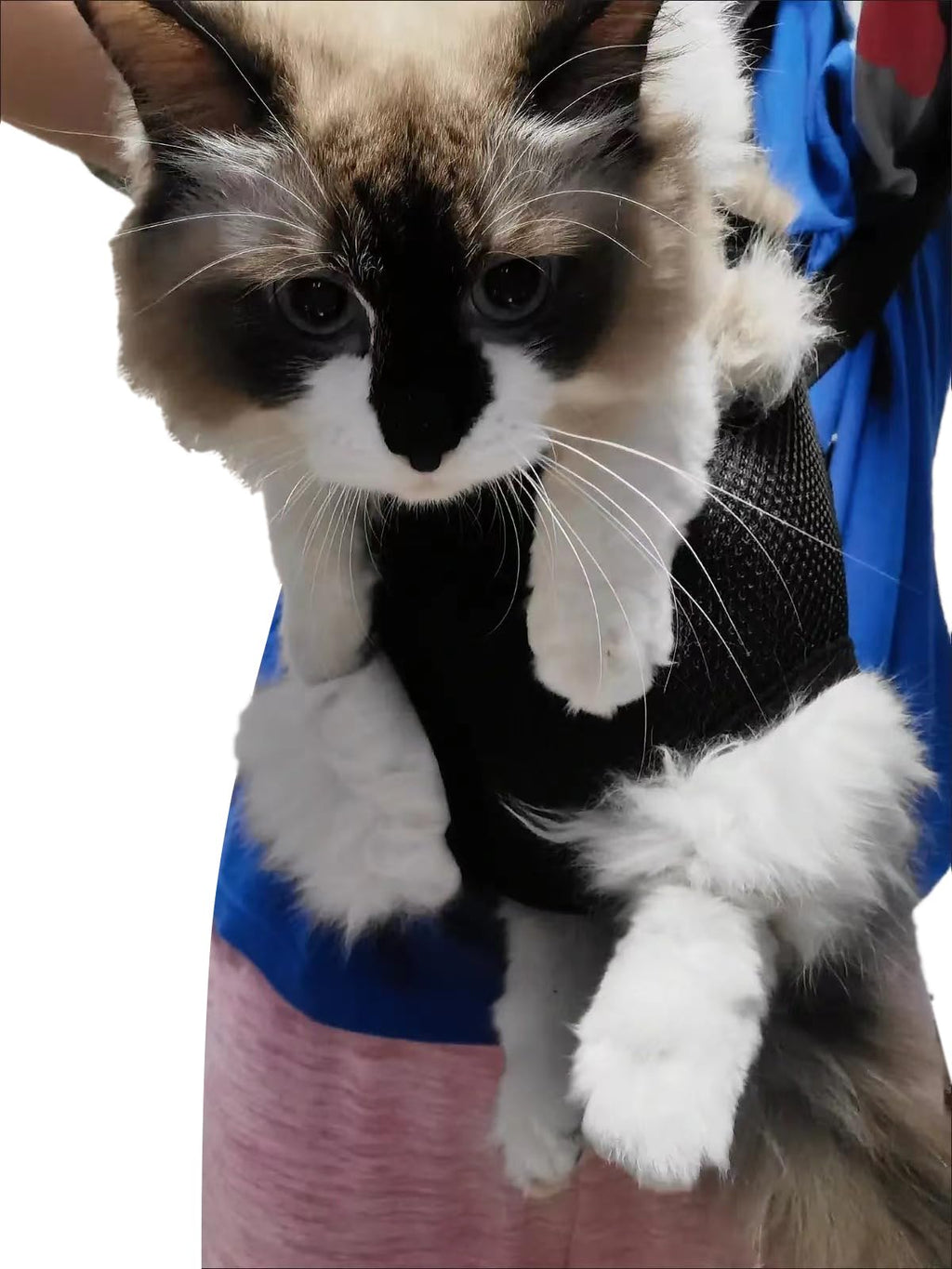 Adjustable Pet Carrier Backpack U90304