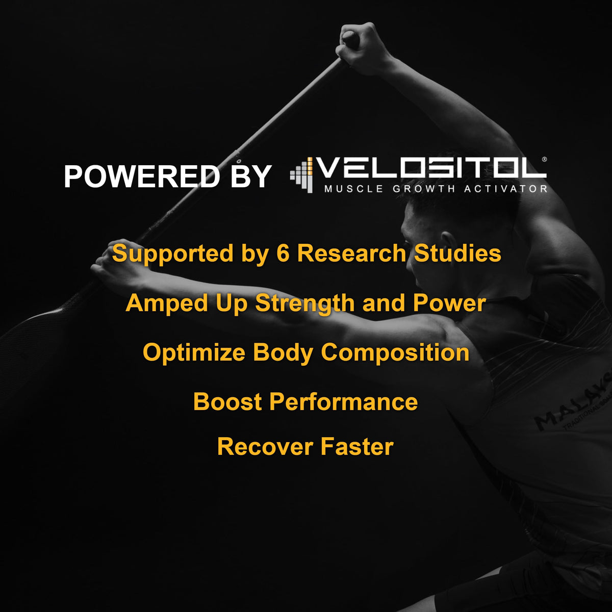 Vanilla Vegan Plant Based Protein Powder A118179
