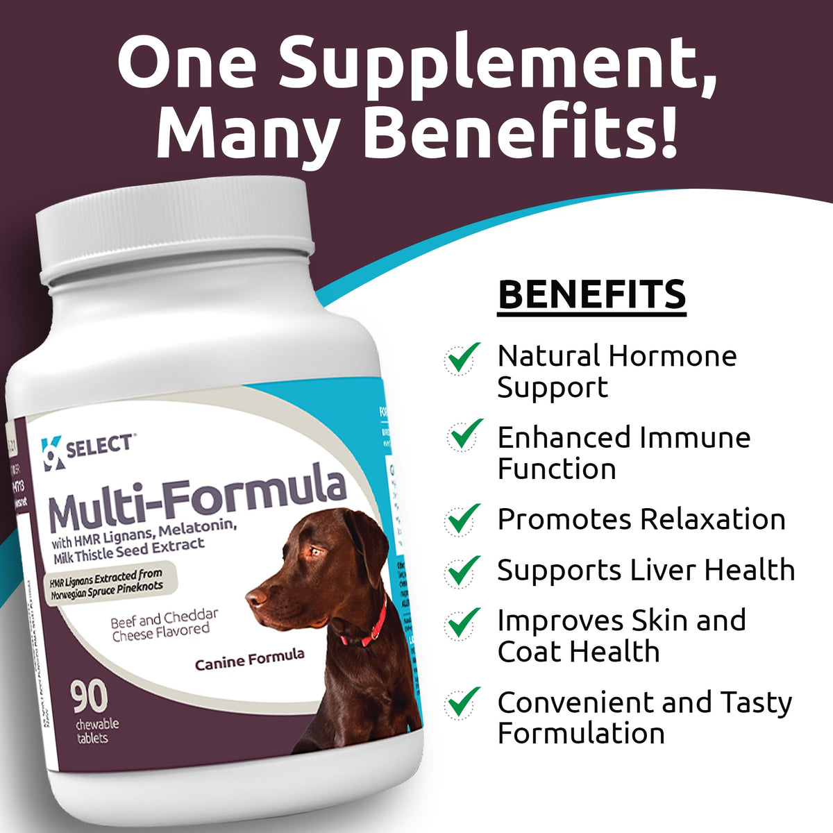 90 Tablets Beef Flavor Dog Multivitamin B87198