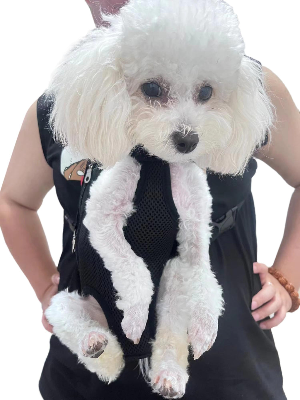 Adjustable Pet Carrier Backpack U90304