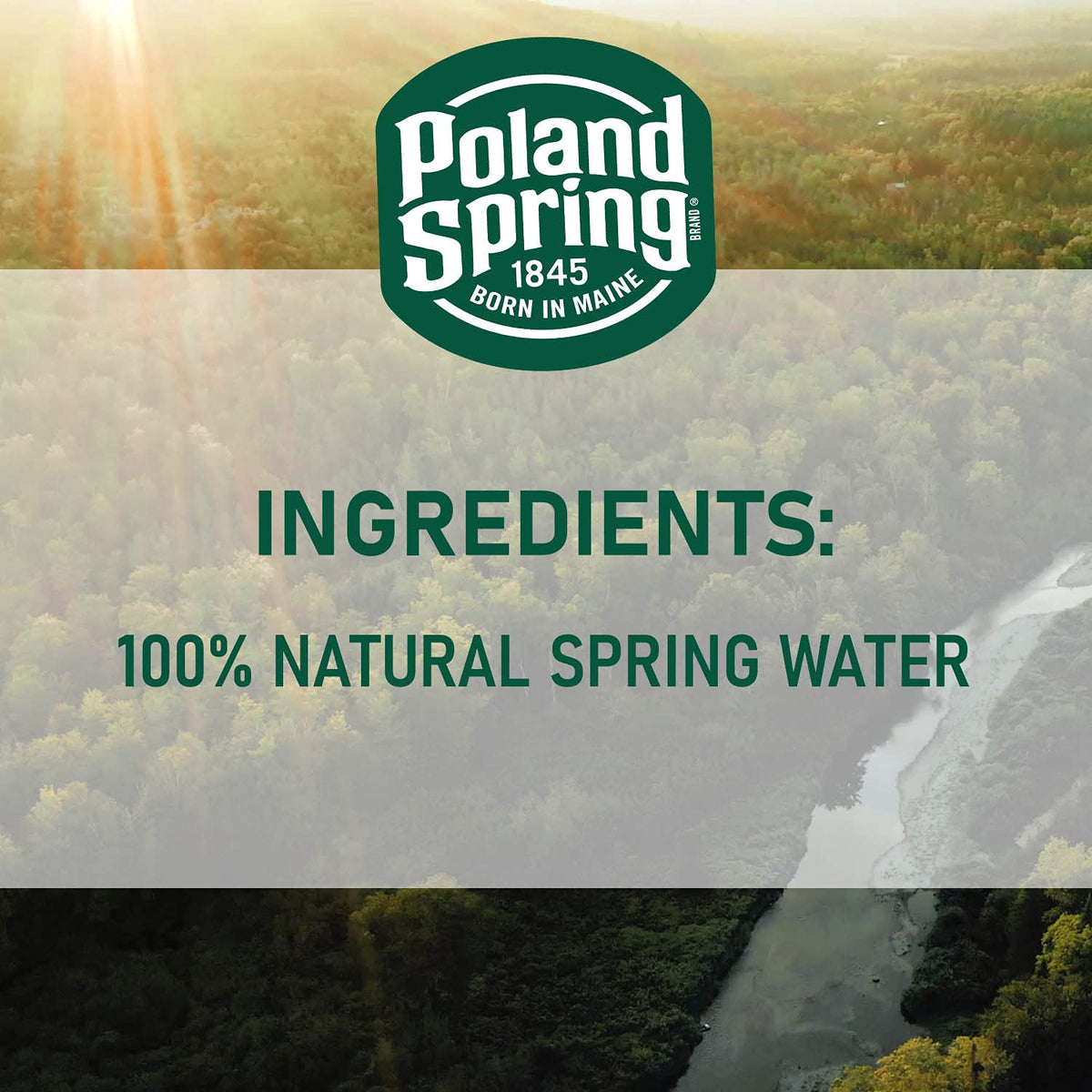 Spring Bottled Water 16.9 Fl Oz 96 Pack K54388