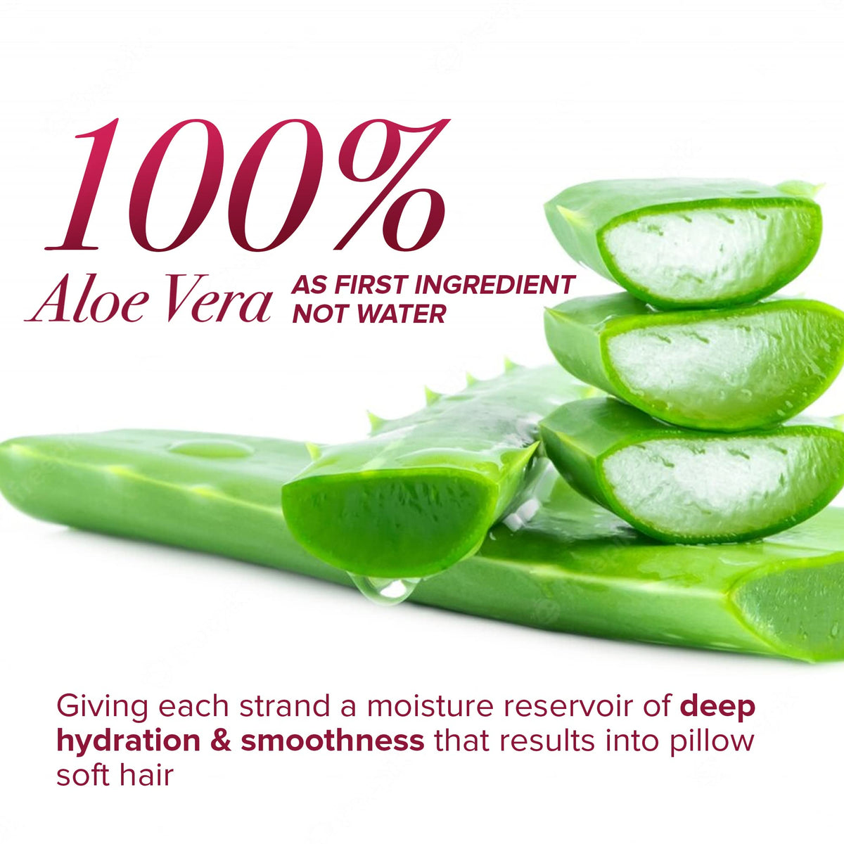 Leave-In Conditioner Coconut Milk & Aloe Vera 10oz W96701