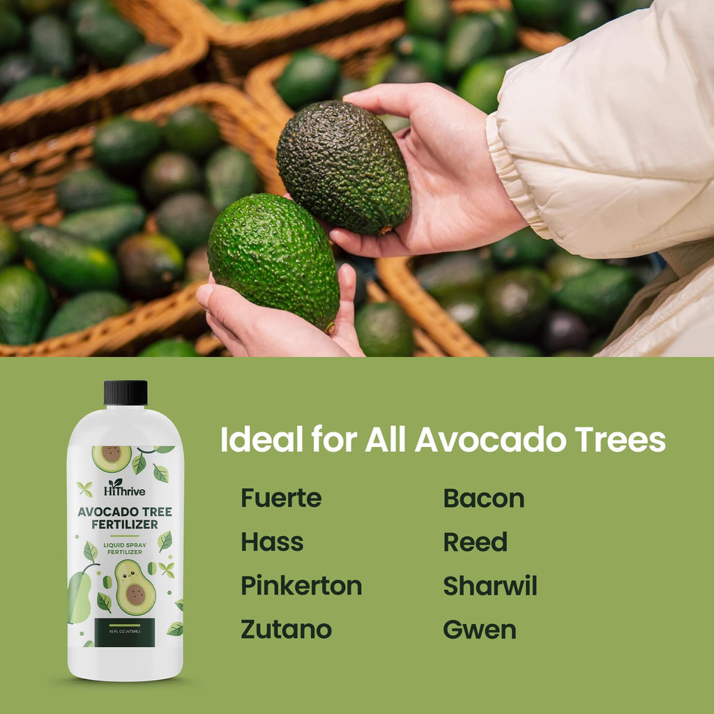 Avocado Fruit Tree Fertilizer 16oz O782694