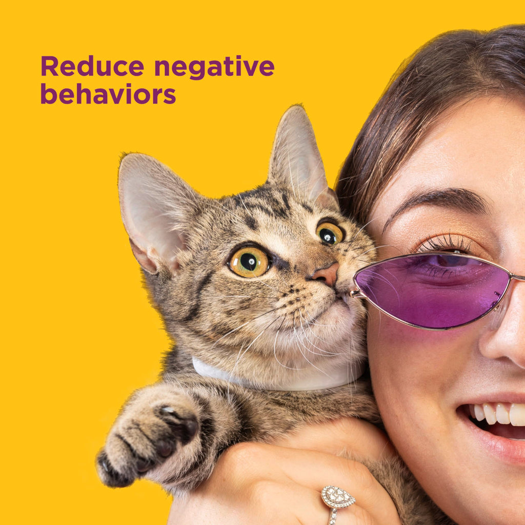 Cat Calming Collar 2 Pack N1119