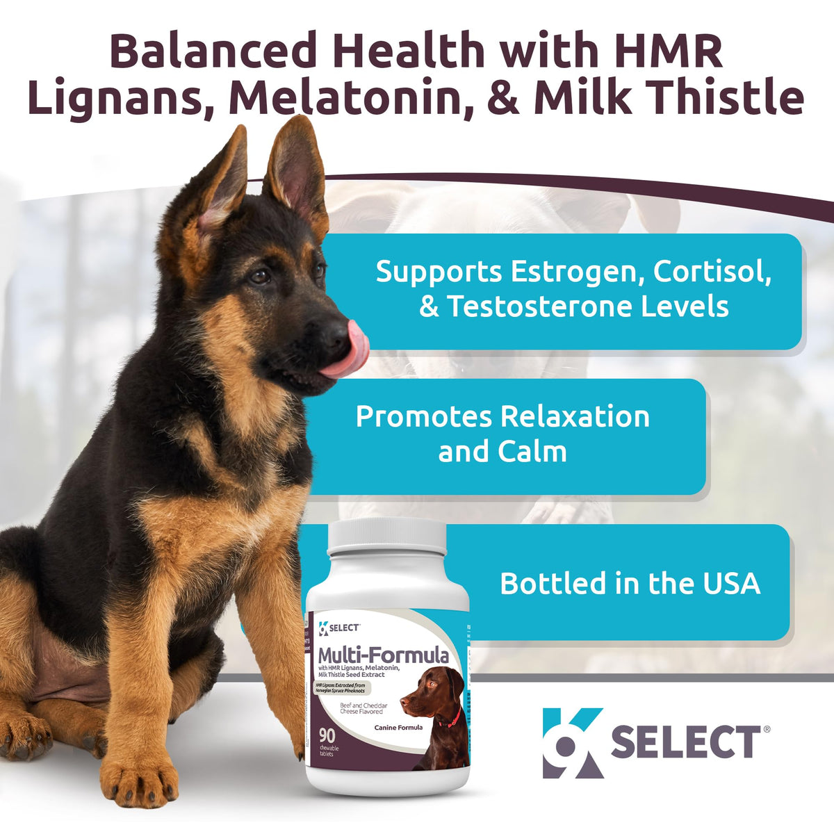 90 Tablets Beef Flavor Dog Multivitamin B87198