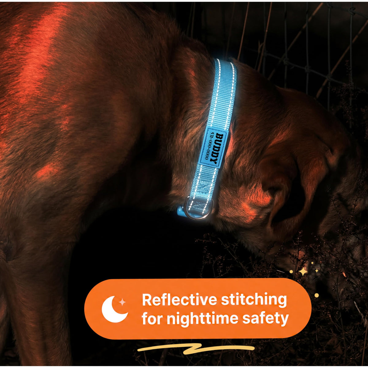 Reflective Nylon Personalized Dog Collar I95878