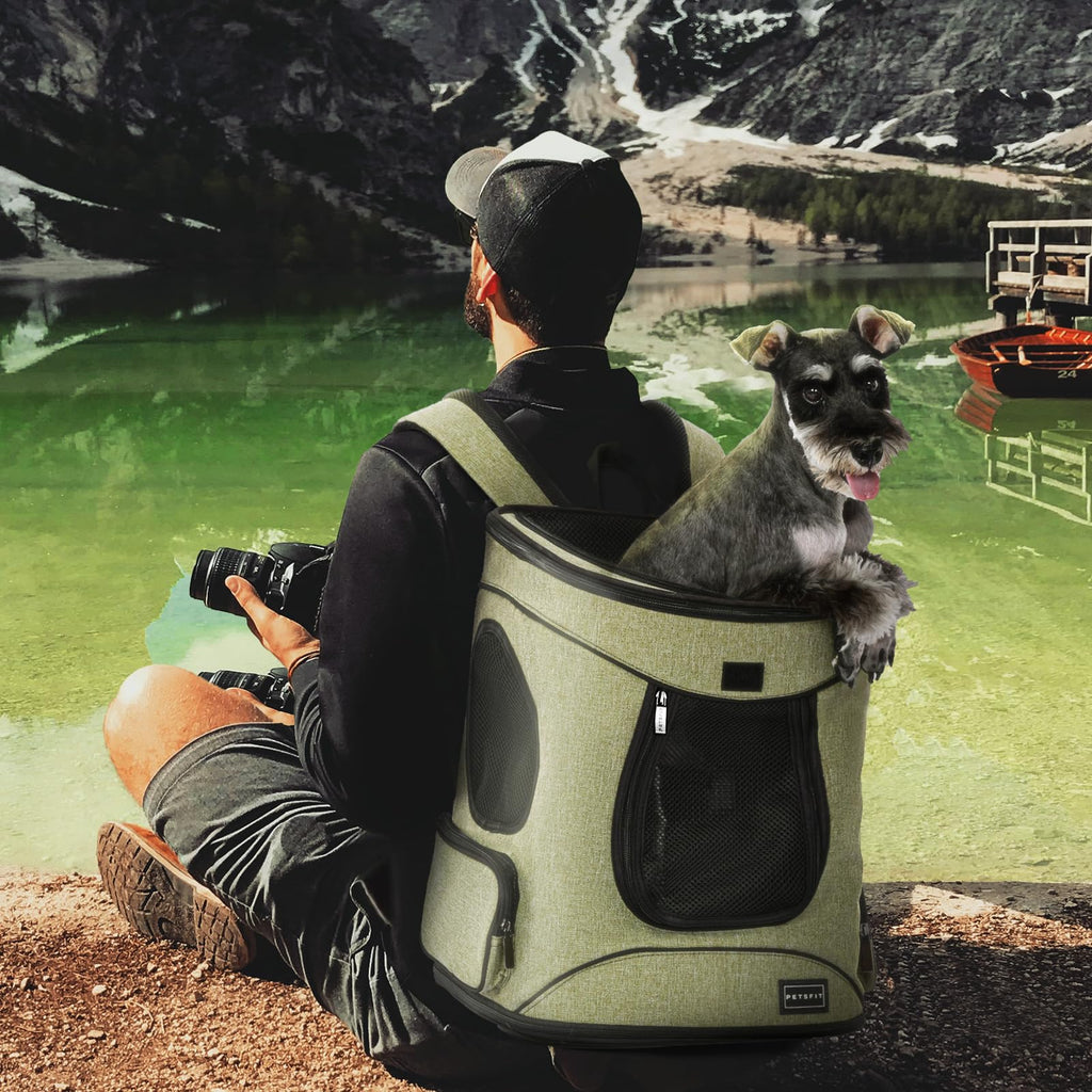 Dog and Cat Backpack Carrier, Up to 18 lb C763622