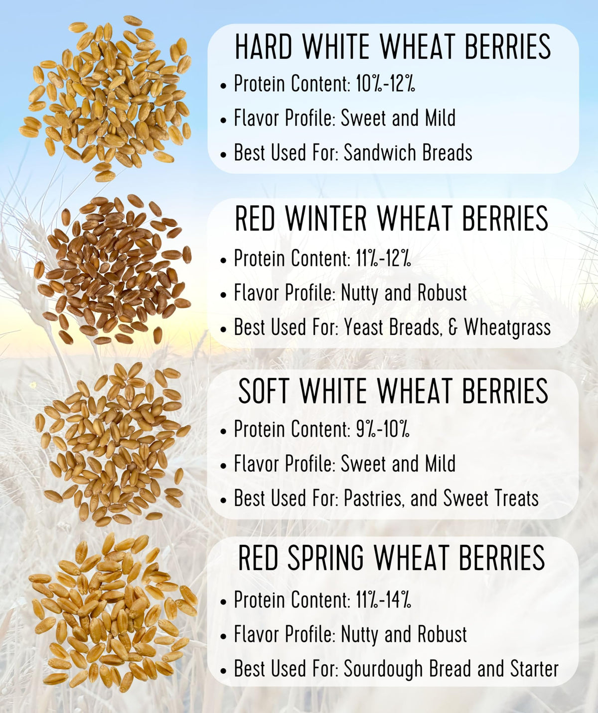 Soft White Wheat Berries 5 lbs P454