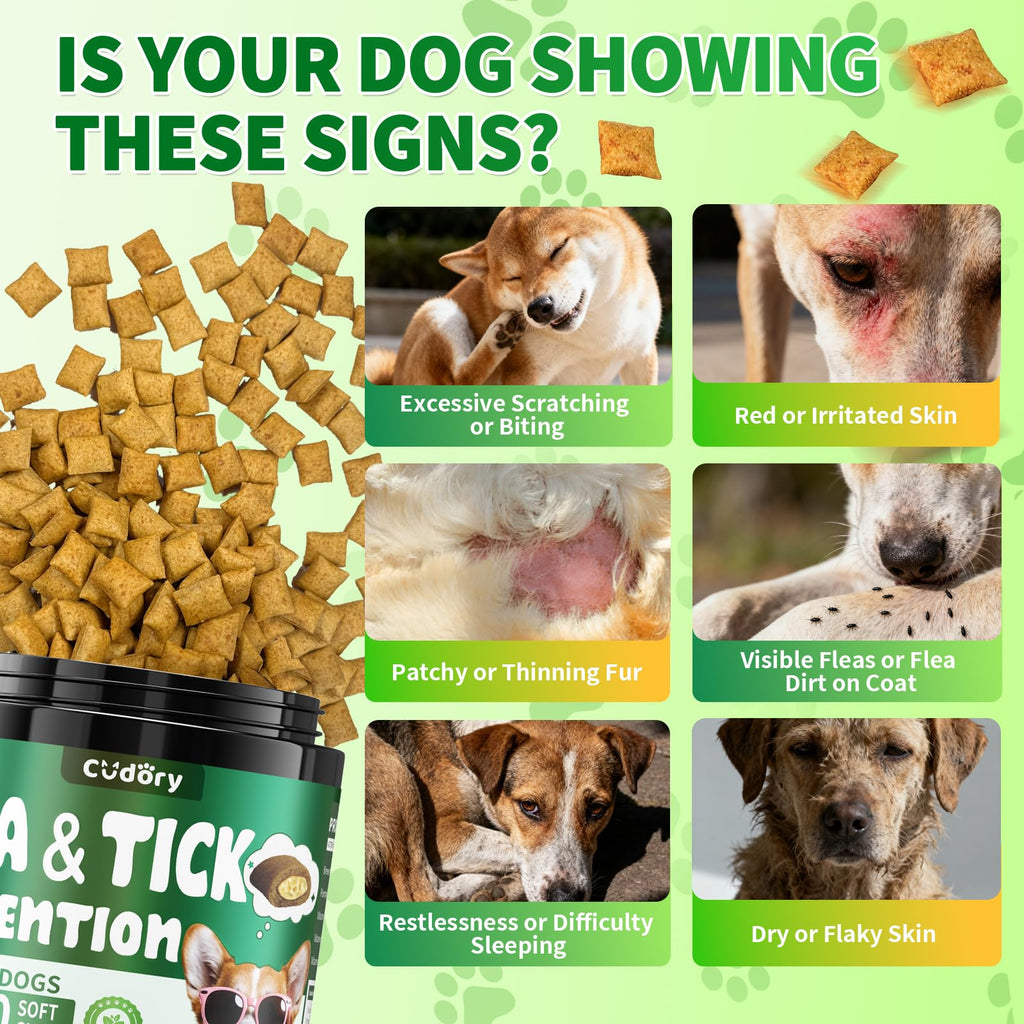 Flea and Tick Prevention for Dogs Chews T97180