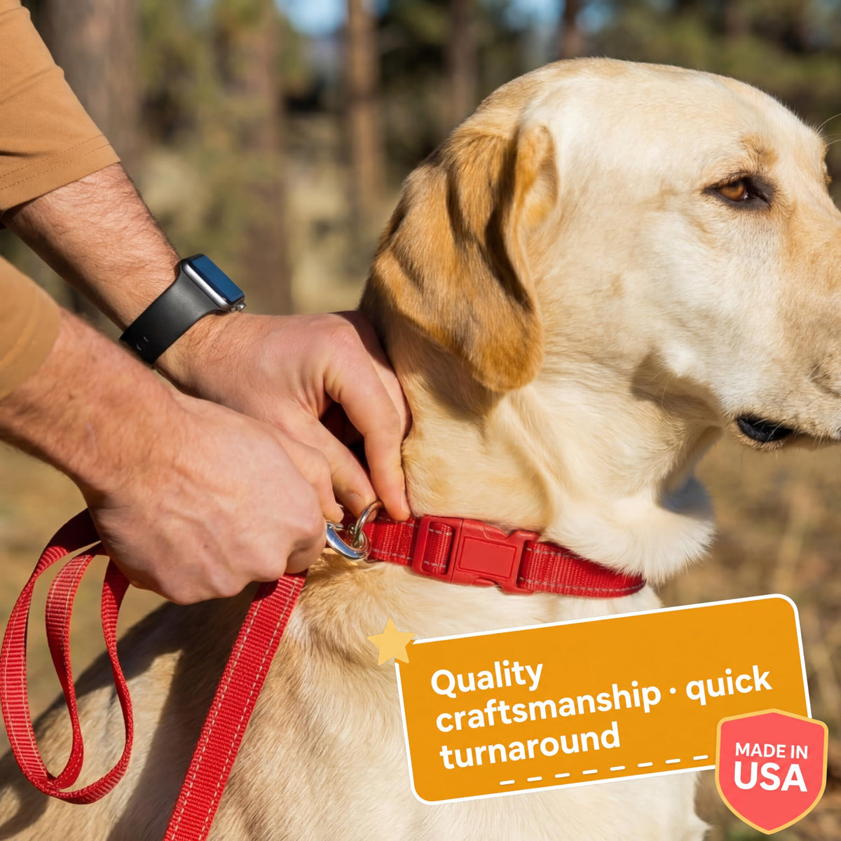 Reflective Nylon Personalized Dog Collar I95878