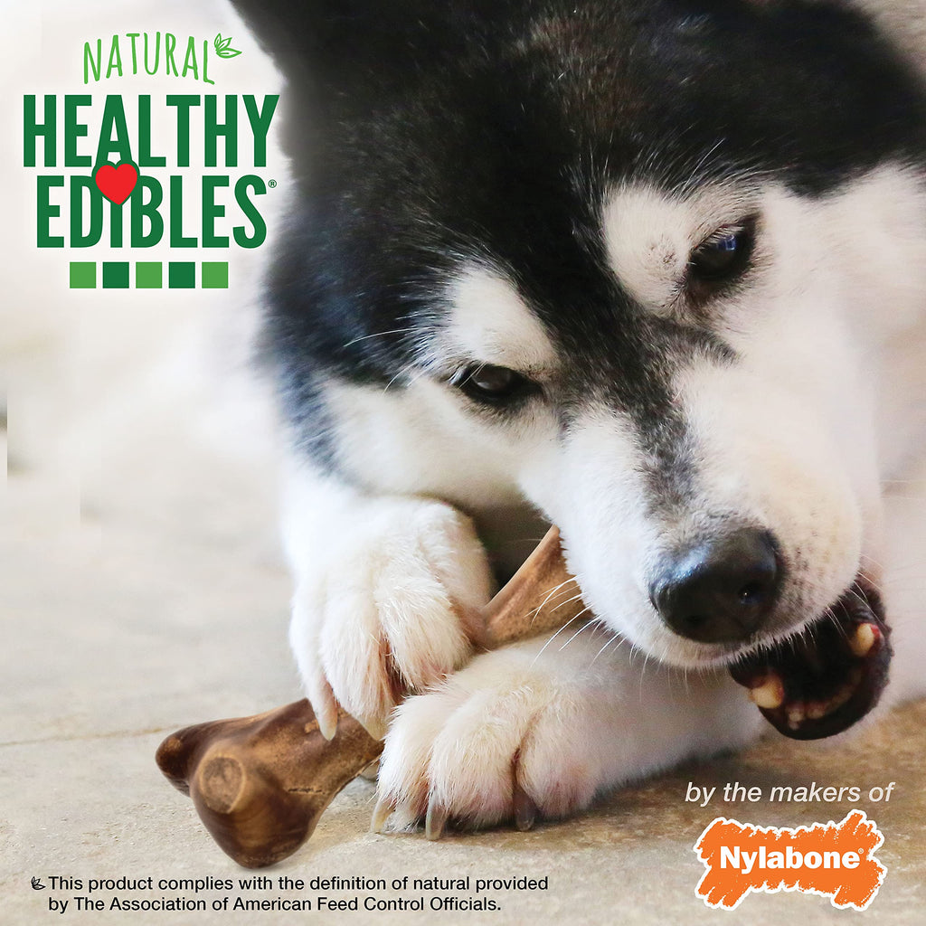 Large Ham Flavor Dog Treats C4442